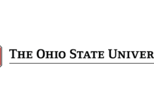 Designing, Diagnosing, and Debunking Mineral Programs in Beef Herds